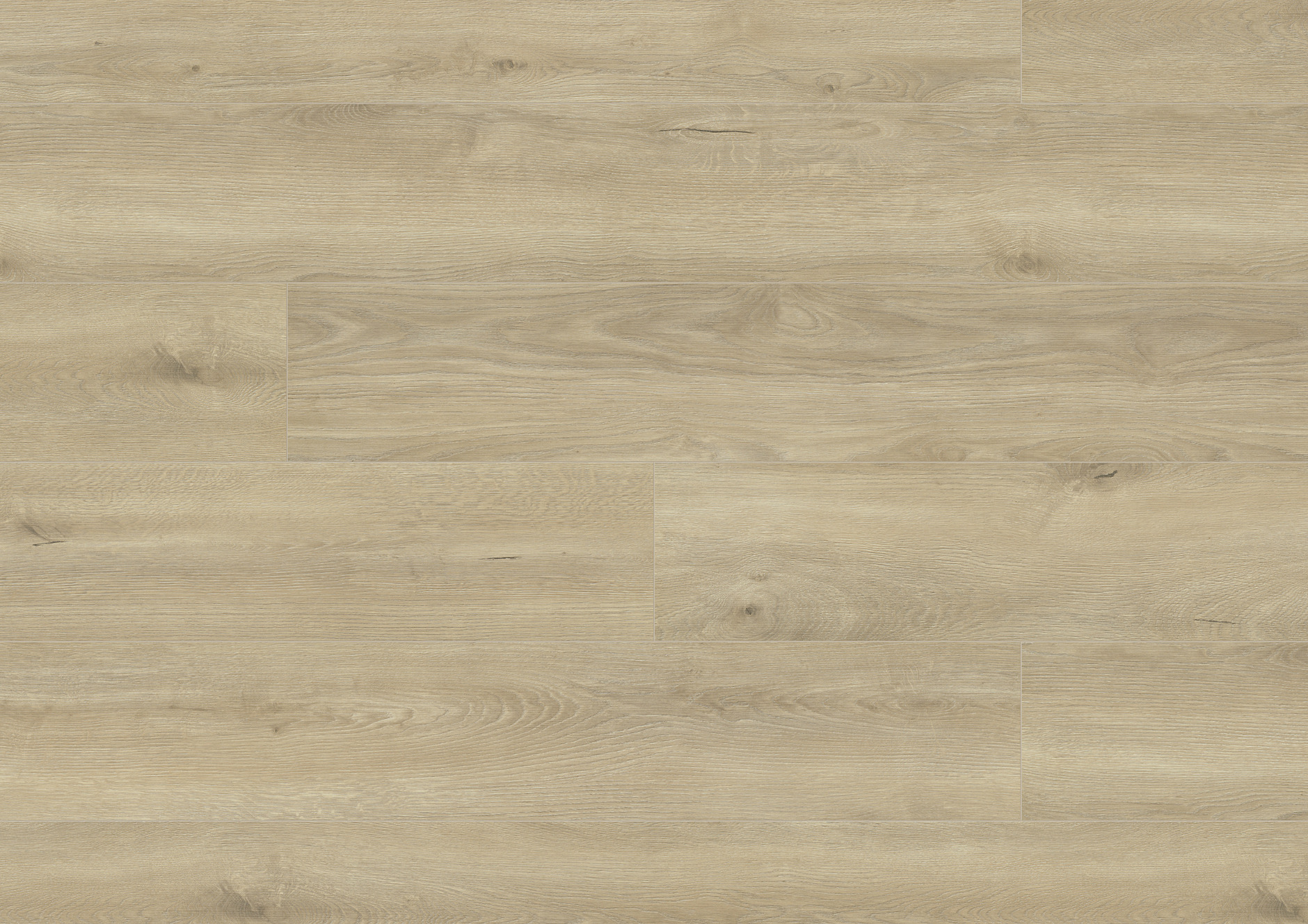 A0009 科西嘉橡木