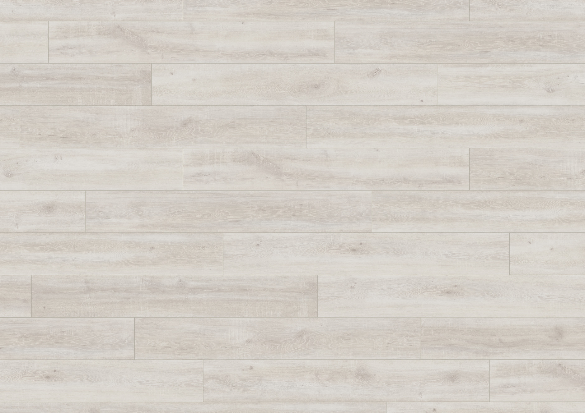 F1820 萊茵白橡木