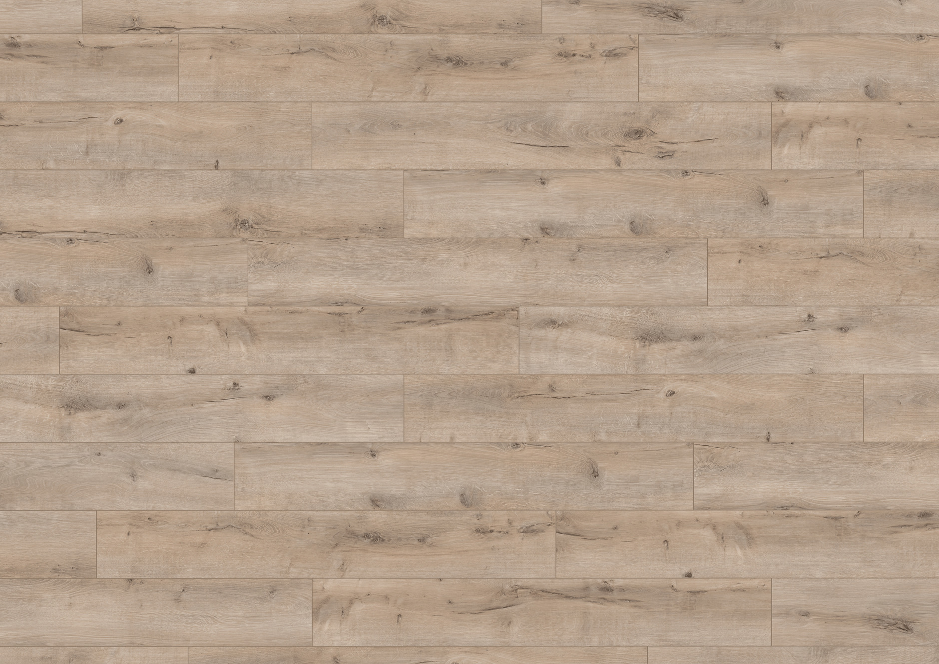 F1841 特里爾橡木