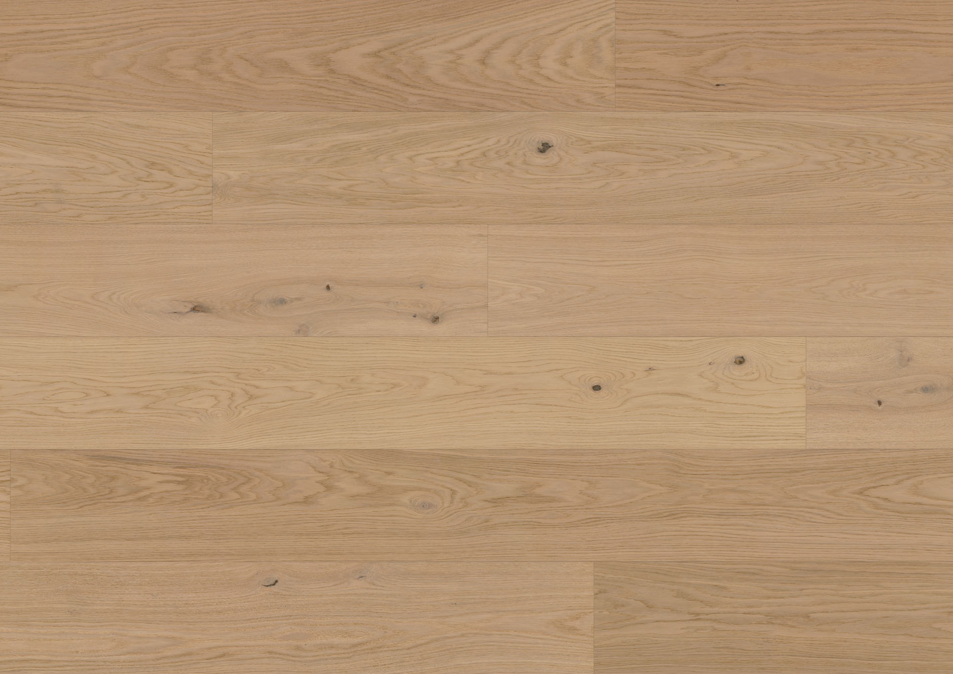 Z22a 奧蘭卡橡⽊