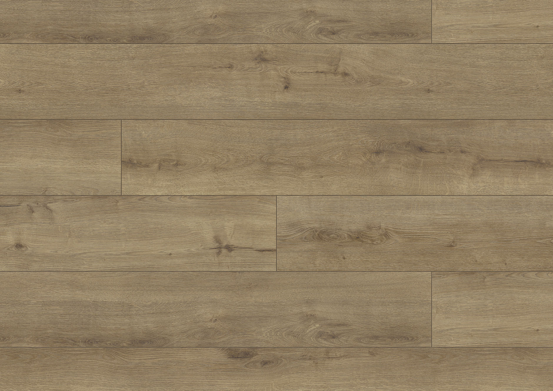 A0038 卡普里橡木