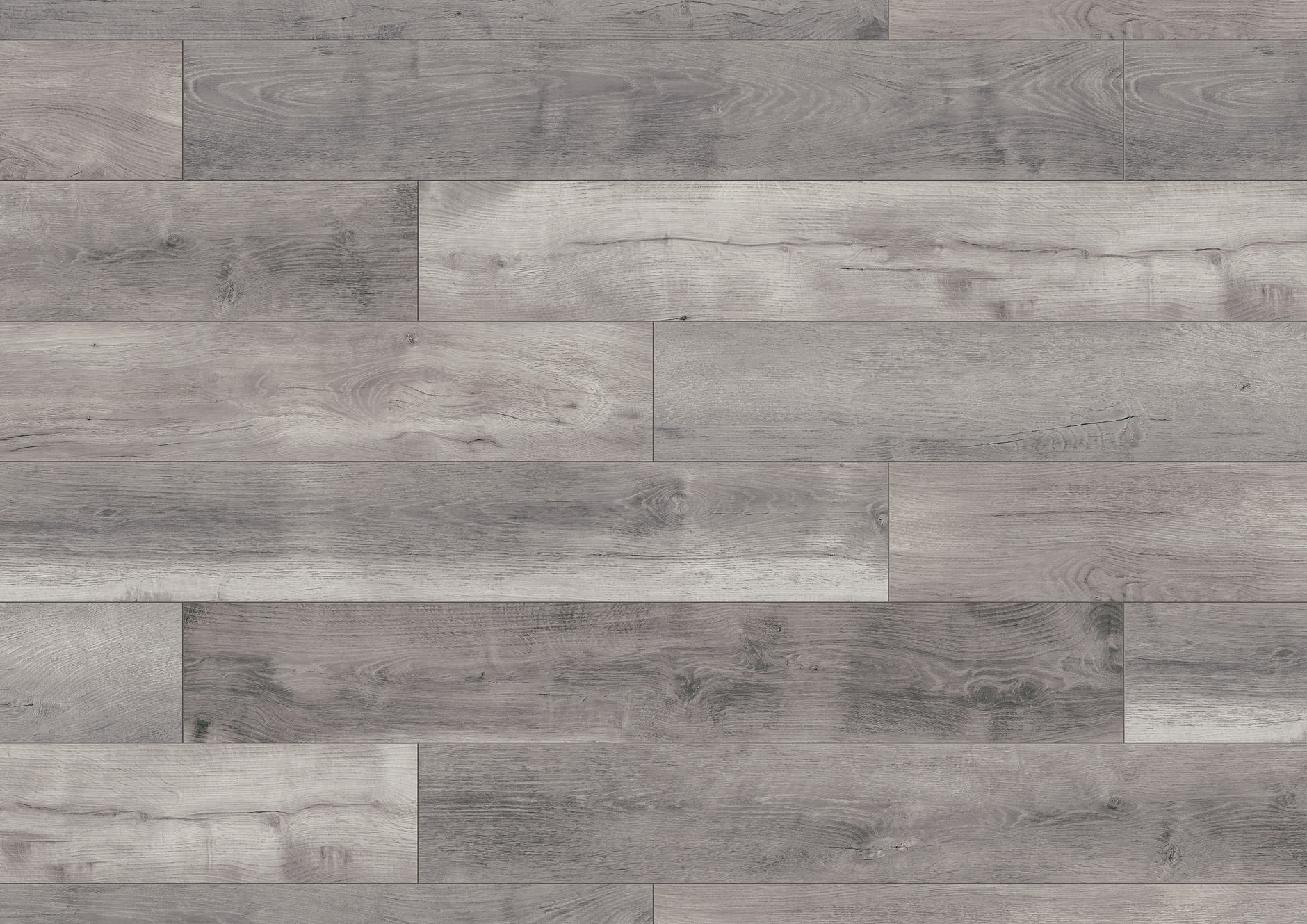 A0050 巴貝多橡木